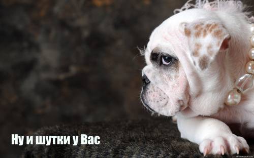 Ну и шутки у вас!