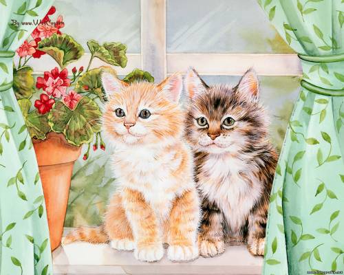 Два маленьких котенка