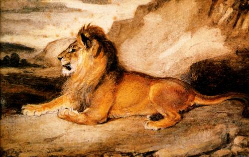 Сердитый лев