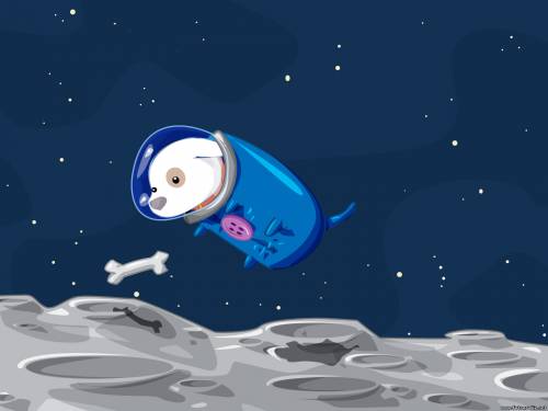 Погоня за костью