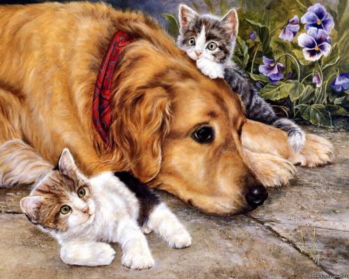Пес и котята