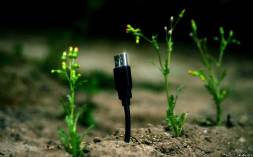Проросток USB