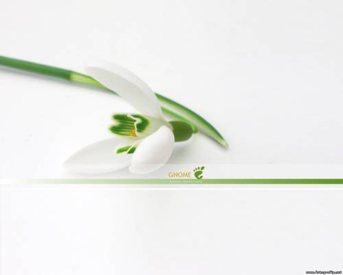 Заставка Linux gnome