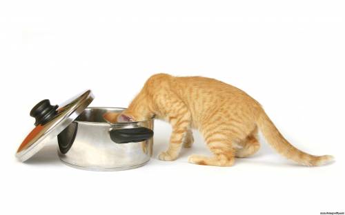 Так быстро кончилось?