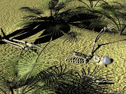 3D загорелый скелет