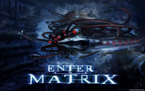 Игра enter the Matrix