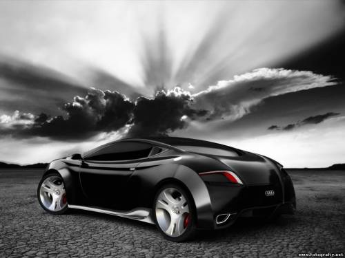 Фотография audi #24